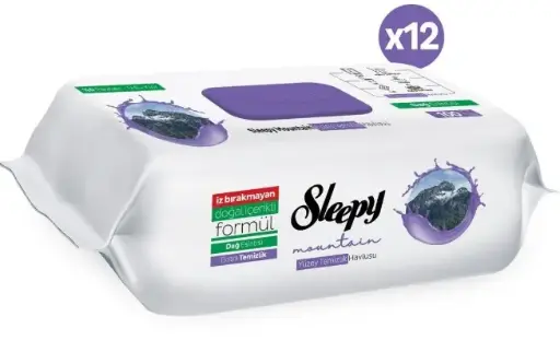 S. SURFACE CLEANING WIPES 100 PCS MOUNTAIN BREEZE